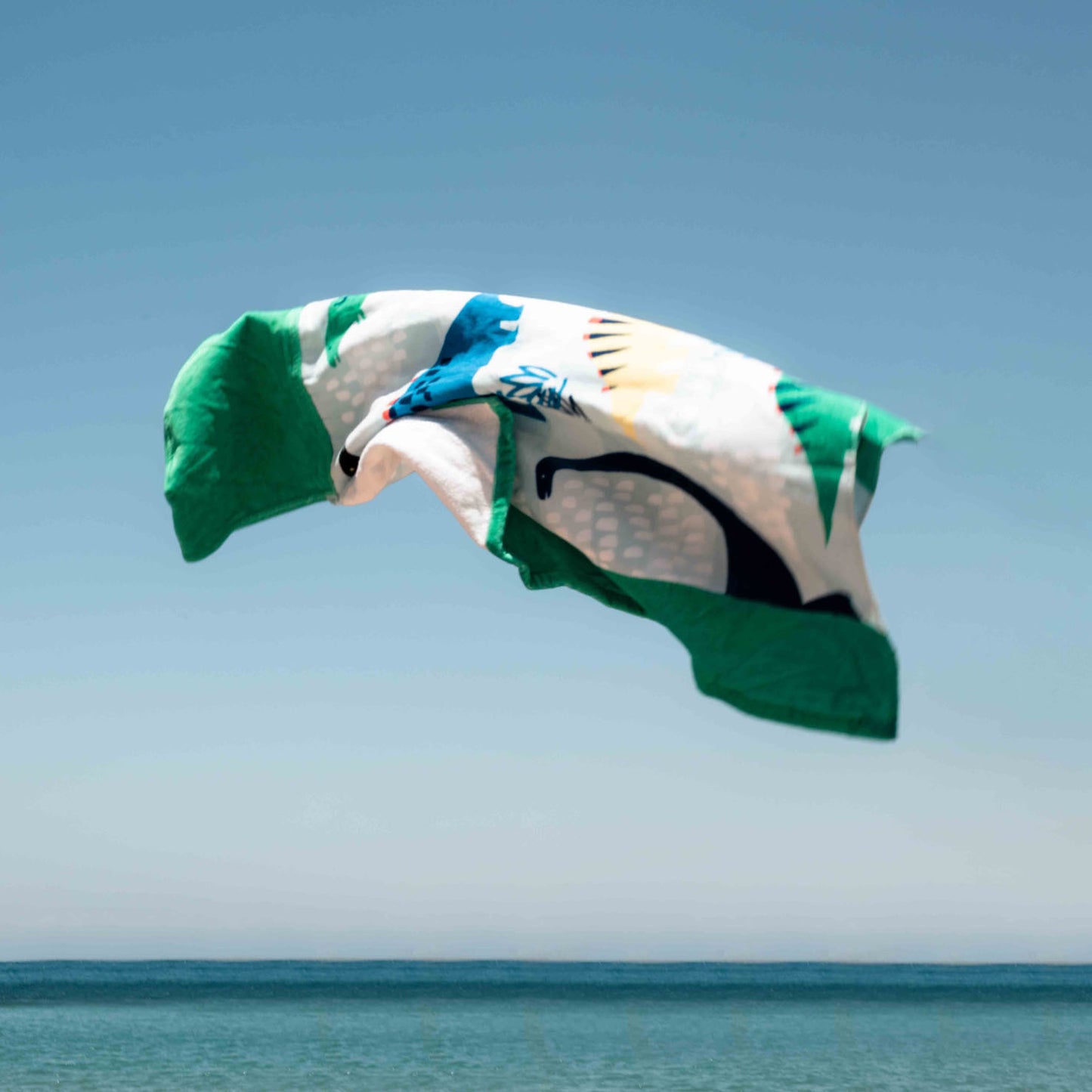 Dino Adventure Hooded Towel Poncho - Dinosaur Print